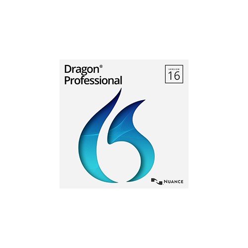 Dragon Professional 16